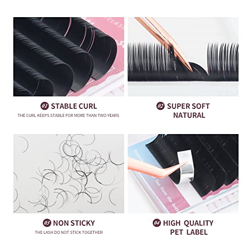 ANNAFRIS Individual Eyelash Extensions 16 Rows Matte Black D Curl Mix