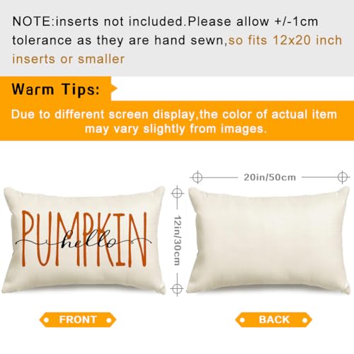 Cream Fall Pillow Cover 12x20 | Hello Pumpkin Thanksgiving Decor