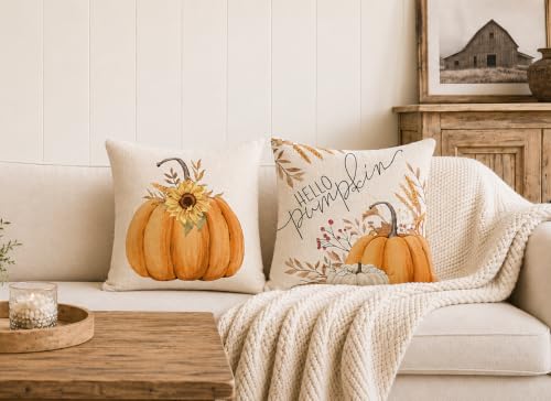 Auomily 18x18 Inch Double-Sided Fall & Christmas Throw Pillow Covers, Set of 2