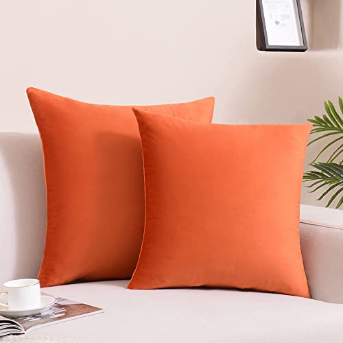 Krifey Velvet Throw Pillow Covers 18x18 Inch, Soft Decorative Cushion Case, 2-Pack