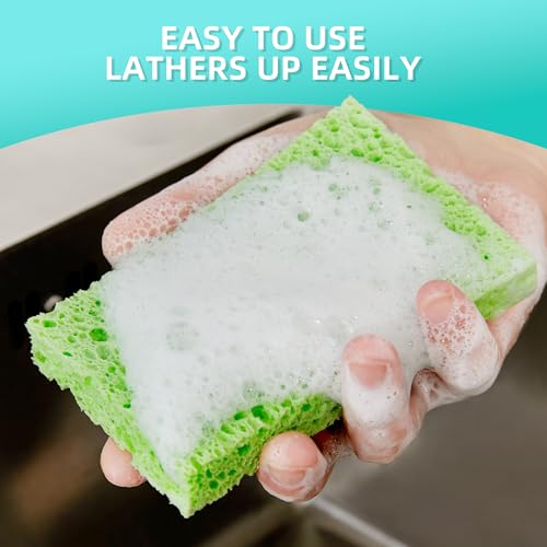 JOYMOOP Cellulose Kitchen Sponges - Non-Scratch Dish Scrubbers, 12 Pack