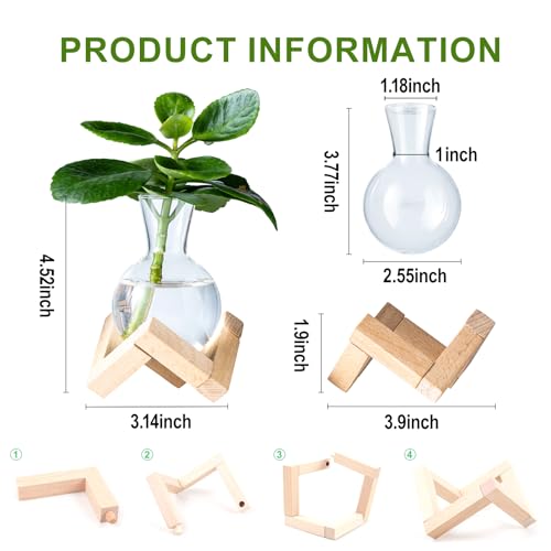 Hydroponic Propagation Station with Wooden Stand - Glass Bulb Vases