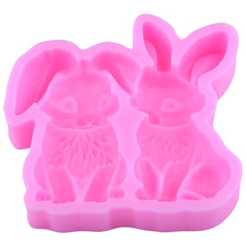 Easter Bunny Silicone Fondant Mold for Cake Decorating