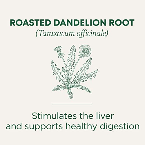 Organic Roasted Dandelion Root Tea - 16 Tea Bags (Pack of 2)