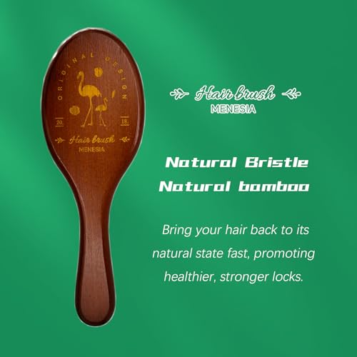 Boar and Nylon Bristle Hair Brush for Fine and Dry Hair