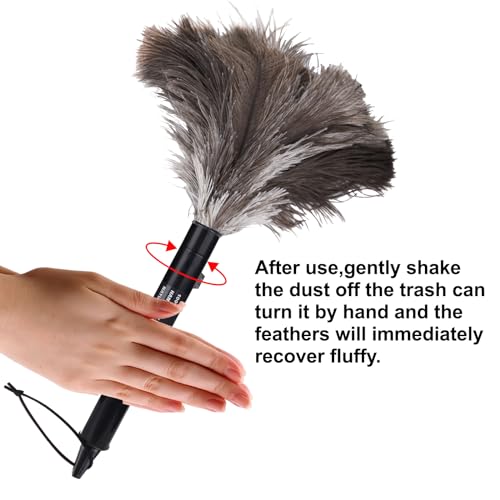 Aldwin 16-Inch Retractable Ostrich Feather Duster - 1 Pack
