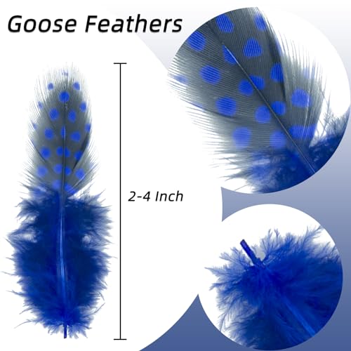 Royal Blue Spotted Pheasant Feathers - 50 Pcs 2-4 Inch Craft Supplies