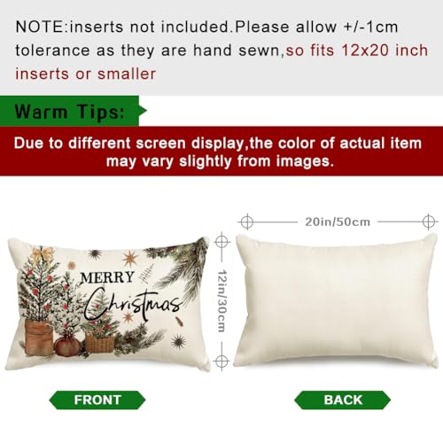 ARGOOGF Waterproof Christmas Outdoor Pillow Cover 12x20 Inches - Eucalyptus Berries Decor, Pack of 1