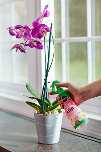 Miracle-Gro All Purpose Water Soluble Plant Food Mist 8oz Pack of 6 for Orchids