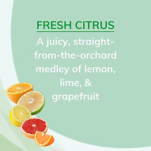 Citrus Magic Solid Air Fresheners with Fresh Citrus Scent - 8 Ounce Pack of 3, White/Green