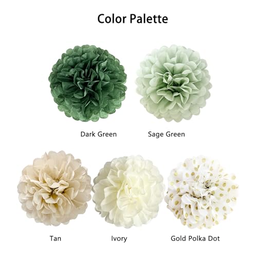 Sage Green Tissue Paper Pom Poms - 12-Piece Party Decoration Set