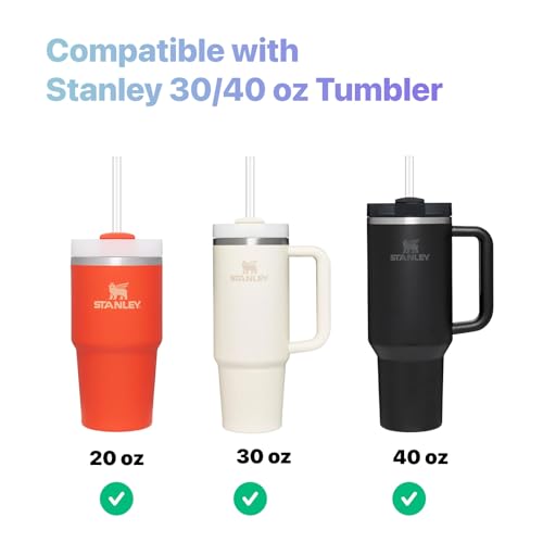 Pro Straw Cleaner Brush Set - 2 Pack, 12 Inch for Reusable Tumblers