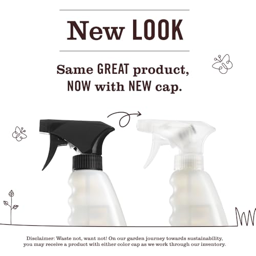 Mrs. Meyer's Mint Multi-Surface Cleaner, 16 Fl Oz (Pack of 6)