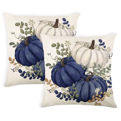 Fall Blue Pumpkin Pillow Covers 16x16 Inch Set of 2 - Farmhouse Decor