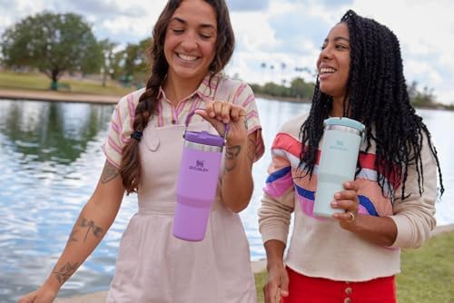 Stanley IceFlow Flip Straw Tumbler with Handle 30 oz | Twist On Lid and Flip Up Straw | Leak Resistant Water Bottle | Insulated Stainless Steel |BPA-Free | Pomelo