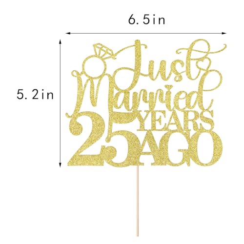 25th Anniversary Cake Topper - Just Married 25 Years Ago Party Decor