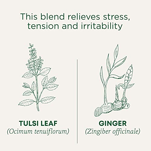 Traditional Medicinals Organic Tulsi & Ginger Herbal Tea Pack of 2 - 16 Tea Bags Each
