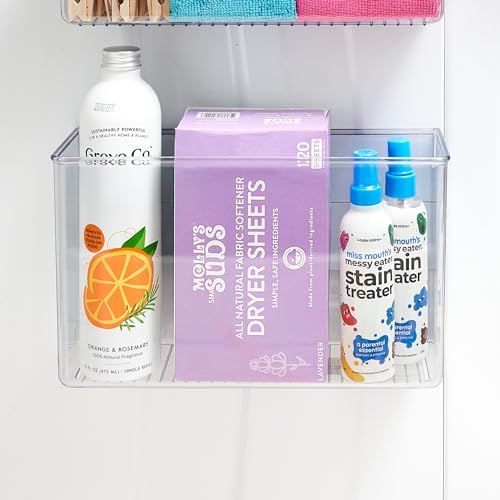 iDesign Magnetic Clear Plastic Organizer Bins for Laundry Storage