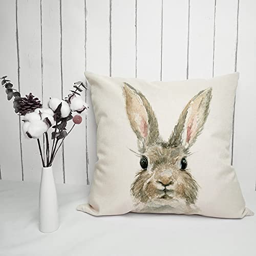 Easter Bunny Throw Pillow Cover 18x18 Inches - Spring Rabbit Design 3