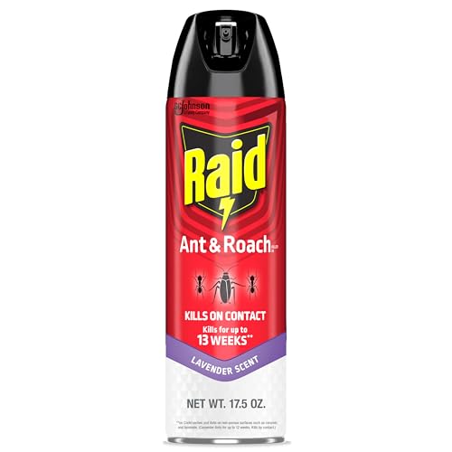 Raid Ant & Roach Killer Spray Lavender Scent 17.5 oz - Residual Insect Control