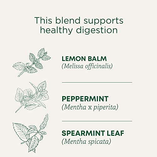 Traditional Medicinals Organic Triple Mint Tea - Peppermint Delight Probiotic, 16 Bags