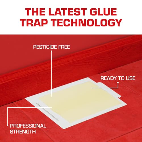 Tomcat Glue Boards with Eugenol - 4 Non-Toxic Sticky Traps