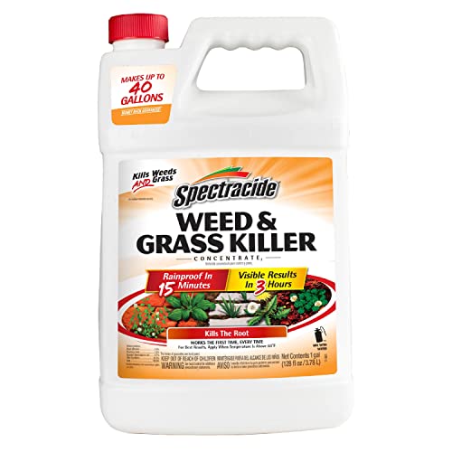 Spectracide Weed & Grass Killer Concentrate - 1 Gallon for Driveways & Walkways
