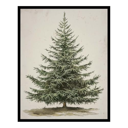 Vintage Christmas Tree Wall Art - Black Framed Botanical Print 10x8