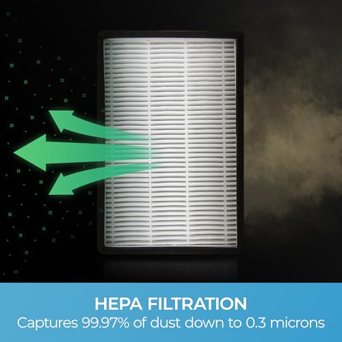 Kenmore 53295 EF-1 HEPA Media Vacuum Exhaust Filter for Upright & Canister Vacuums, White
