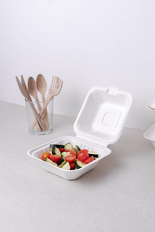 Greenprint 100% Compostable Sugarcane 6x6 Single Compartment Clamshell Take Out Containers - Eco-Friendly, PFSA Free, Disposable To-Go Box for Burgers, Sandwiches, Salads, and Hot/Cold Meals, 500 CT