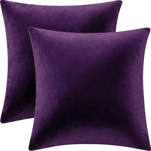 Bunliuys 2 Pack 18x18 Velvet Throw Pillow Covers - Eggplant Purple