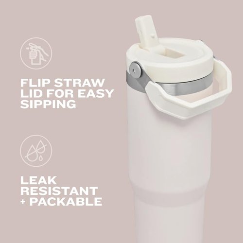 Stanley IceFlow Flip Straw Tumbler with Handle 30 oz | Twist On Lid and Flip Up Straw | Leak Resistant Water Bottle | Insulated Stainless Steel |BPA-Free | Black 2.0