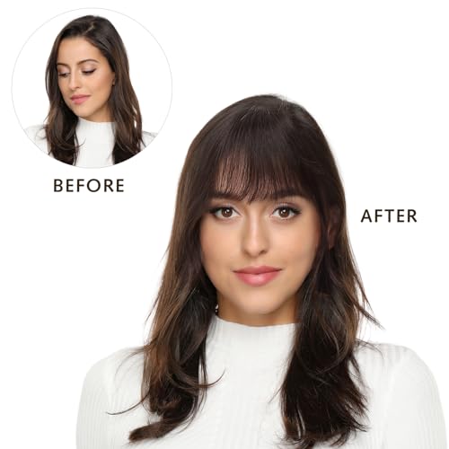 DILUSILK Remy Human Hair Clip-In Wispy Bangs with Side Temples Brown