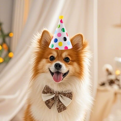 Costyleen Mini Stuffed Animal Party Hats - 11-Piece Cone & Crown Set