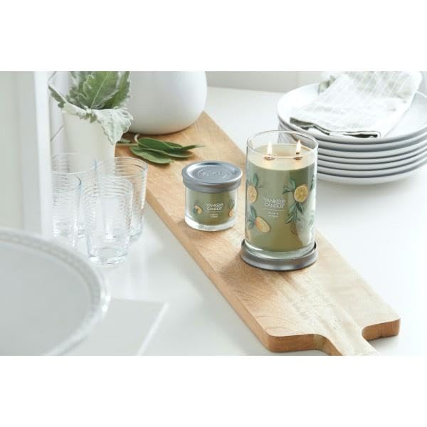 Yankee Candle Small Tumbler Scented Single Wick Jar Candle, Sage & Citrus, Over 20 Hours of Burn Time, 4.3 Ounce (Pack of 2)