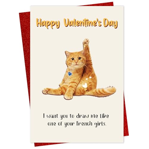 Funny Valentine's Day Card for Him - Naughty Cat Humor