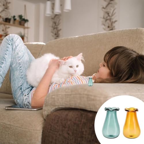 Andibro Cat Whisker Vase Set - Mini Glass Vases for Keepsakes