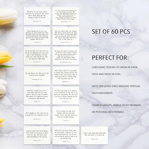Bible Verse Cards - 60 Mini Scripture Cards, Pearl 01 Minimalist Collection
