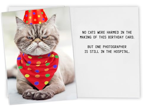 Grumpy Cat Birthday Card - Funny Greeting Card with Bonus Postcard