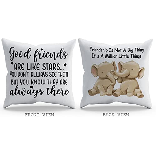 Inspirational Elephant Friendship Throw Pillow Cover, 18x18 Inch Flannelette