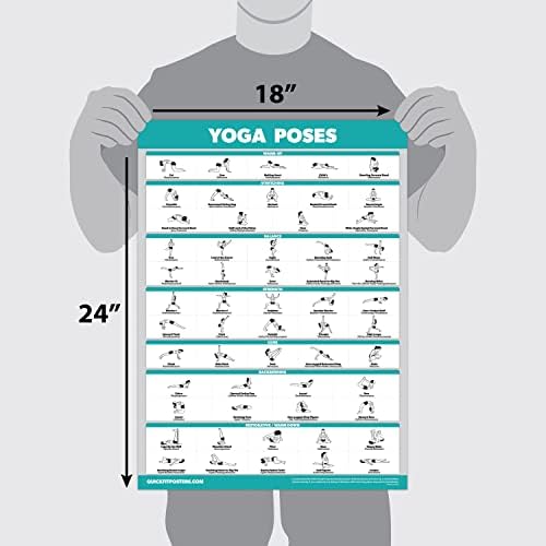 Palace Learning QuickFit Yoga Position Poster - Laminated Yoga Asana Poses Chart, 18" x 24"