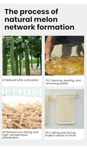 4 Pack Natural Loofah Sponges - Eco-Friendly Dish Cleaning