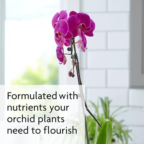 Miracle-Gro Orchid Plant Food Spikes - 10 Fertilizer Sticks for Indoor Orchids