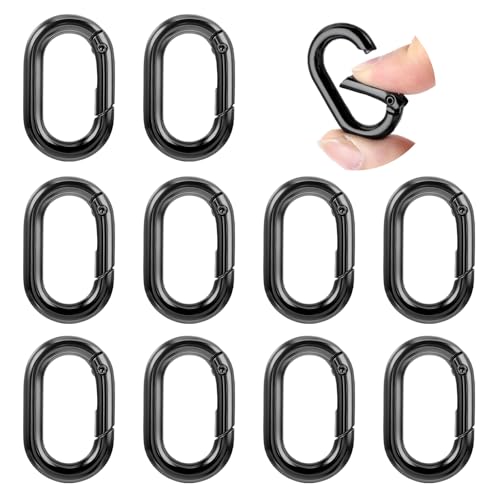 10Pcs Small Carabine Mini Carabiner Clip 1in Spring Snap Hook Heavy Duty for Car Keychain Hooks Camping Climbing
