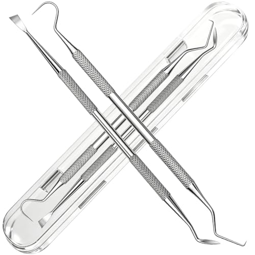 G.CATACC 2 Pack Dental Pick and Plaque Remover Kit with Travel Case