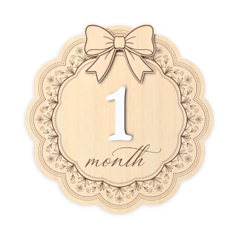 3D Baby Monthly Milestone Signs - Girls 1-12 Months with Wooden Bow