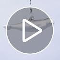 Beluga Whale Christmas Ornament - Old World Holiday Tree Decoration