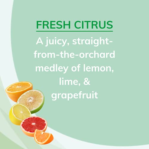 Citrus Magic Air Fresheners - Fresh Citrus Scent, 8 oz, Pack of 6