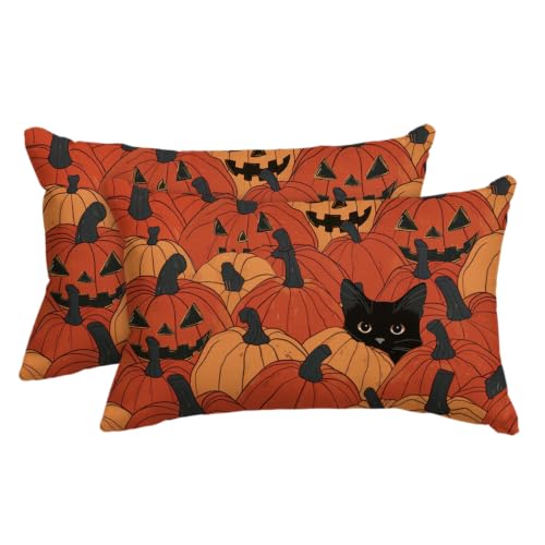 AVOIN colorlife Halloween Pumpkin Black Cat Throw Pillow Covers, 12x20, Set of 2