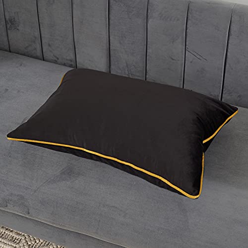 Avigers Black Velvet Lumbar Pillow Cover 12x20 Inch with Hidden Zipper